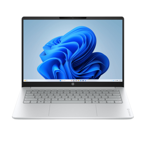 1000 gb null gb sidabrinė